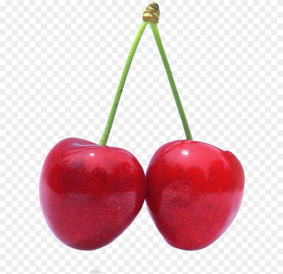 Red Cherry Download Fruits One By One, Food, Fruit, Plant, Produce Png Image