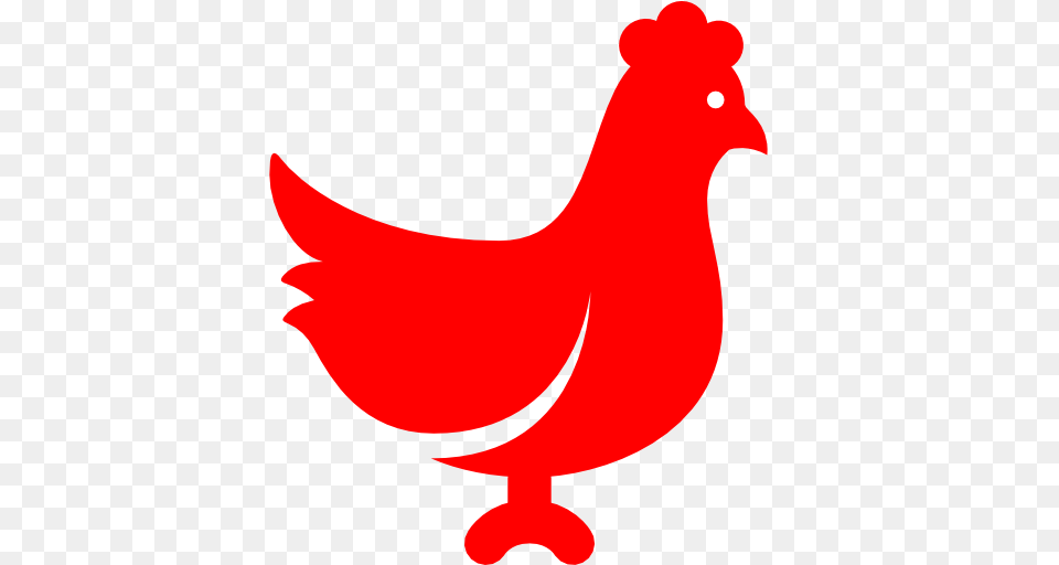 Red Chicken Clipart Clip Art Images, Animal, Beak, Bird, Fish Png