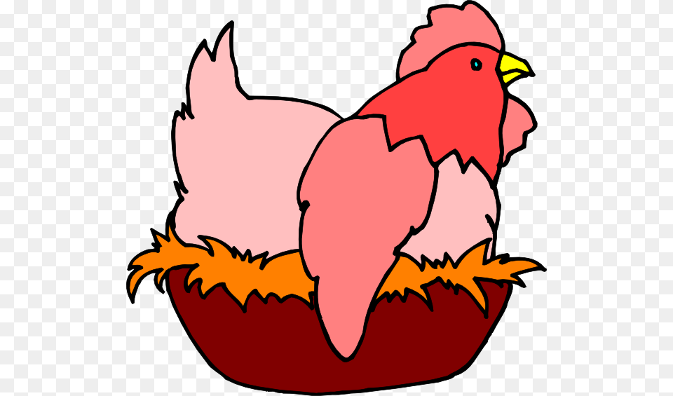 Red Chicken In A Nest Clip Art, Animal, Bird, Fowl, Poultry Free Png Download