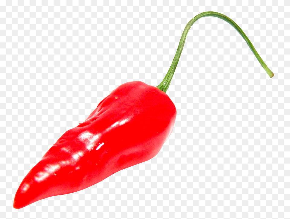 Red Chili Pepper, Food, Produce, Ketchup, Plant Free Png Download