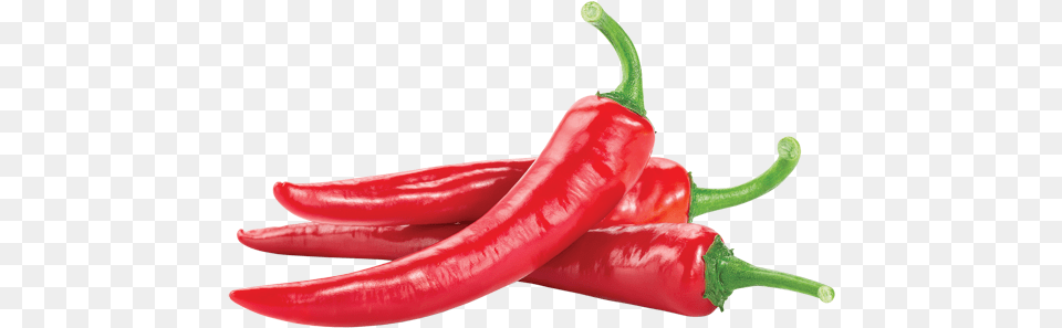 Red Chili Pepper With Love Korean Red Chili, Vegetable, Produce, Plant, Food Png