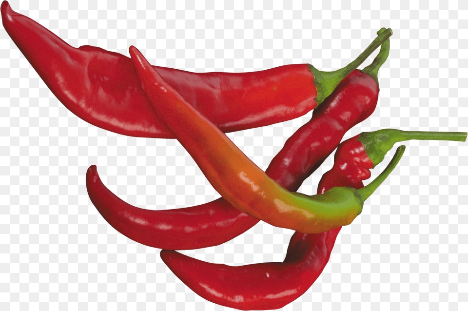 Red Chilli Pepper Transparent, Food, Plant, Produce, Vegetable Png Image