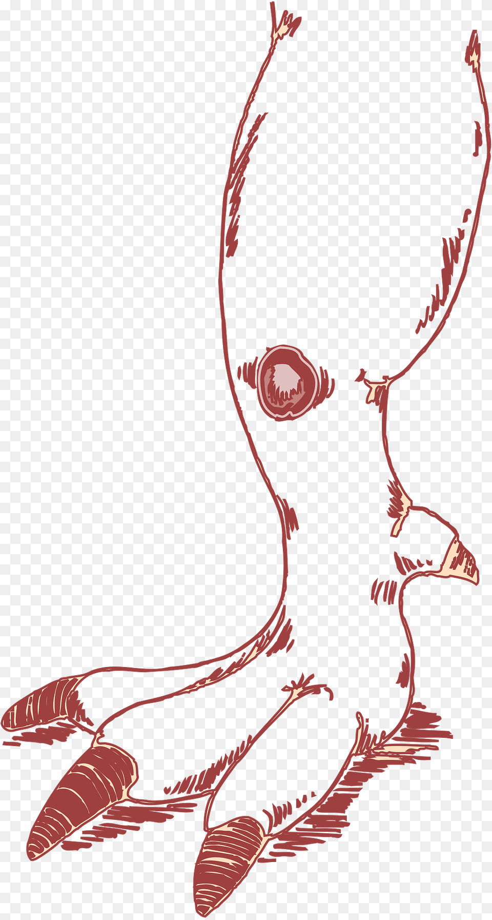 Red Clipart Png Image