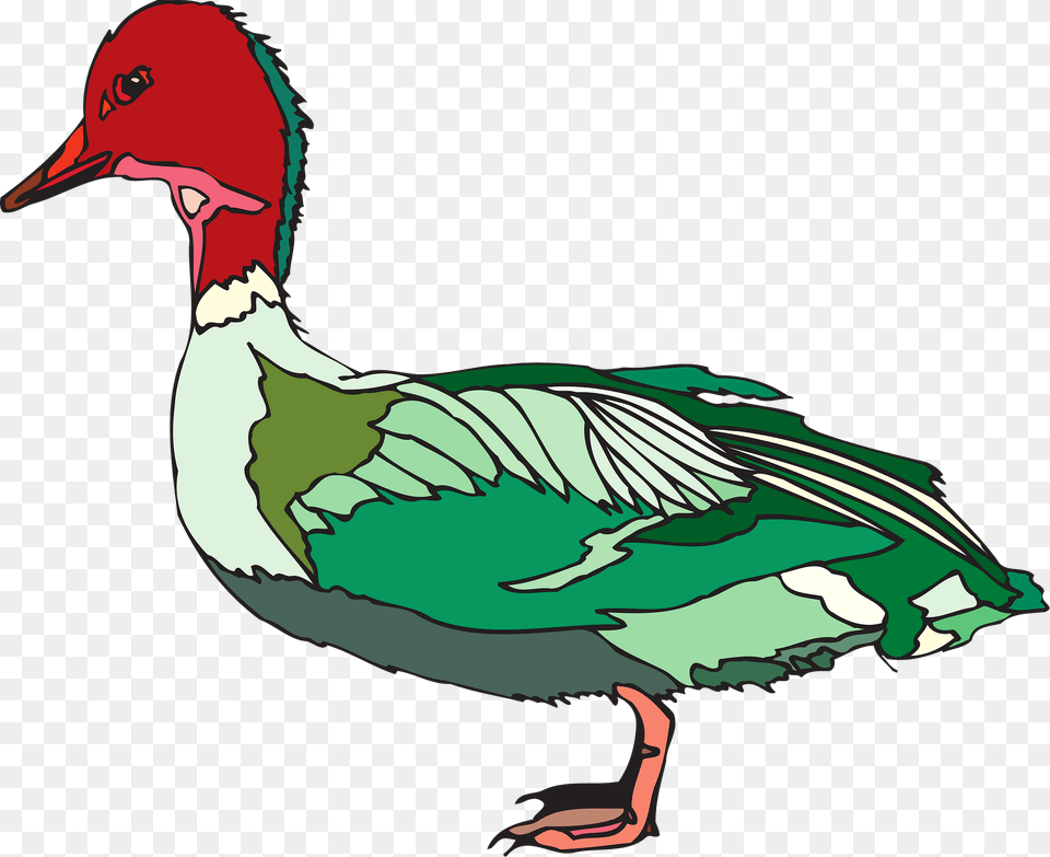 Red Clipart, Animal, Anseriformes, Bird, Waterfowl Free Transparent Png