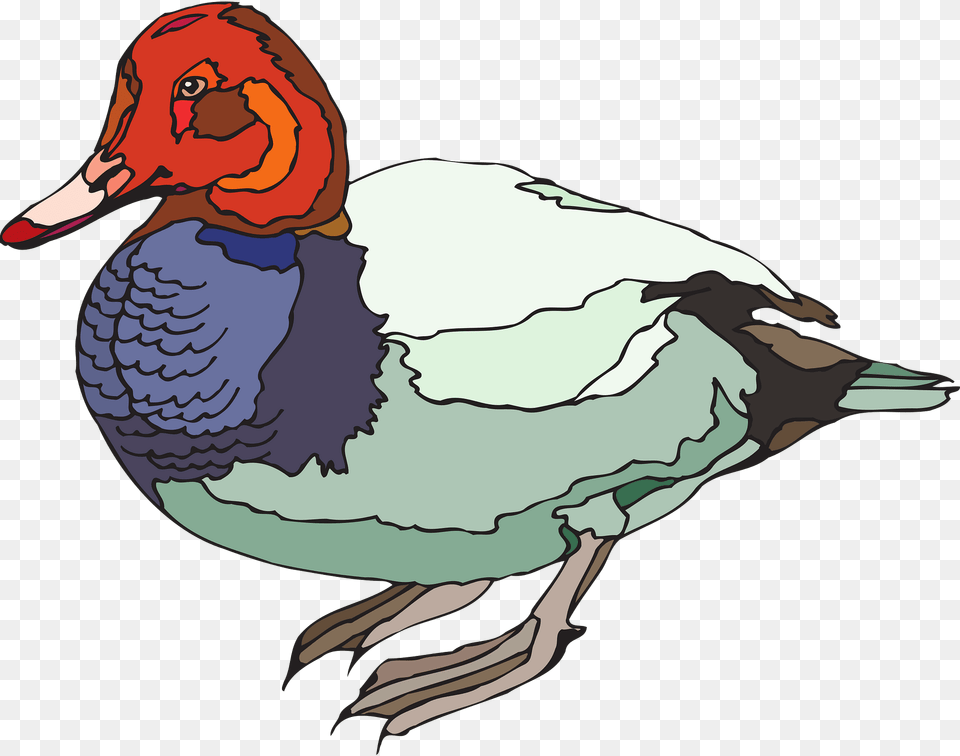 Red Clipart, Animal, Anseriformes, Bird, Waterfowl Png