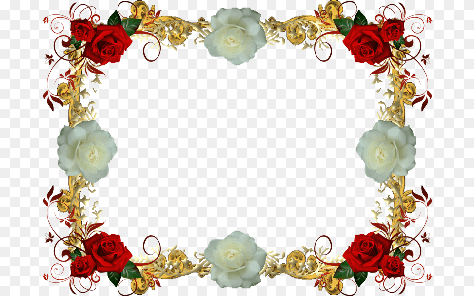 Red Clipart Flower Transparent White Rose Frame, Plant, Art, Floral Design, Graphics Png Image