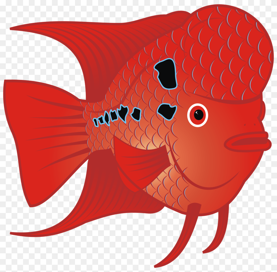 Red Clipart Goldfish Balloon, Animal, Sea Life, Fish, Shark Png Image