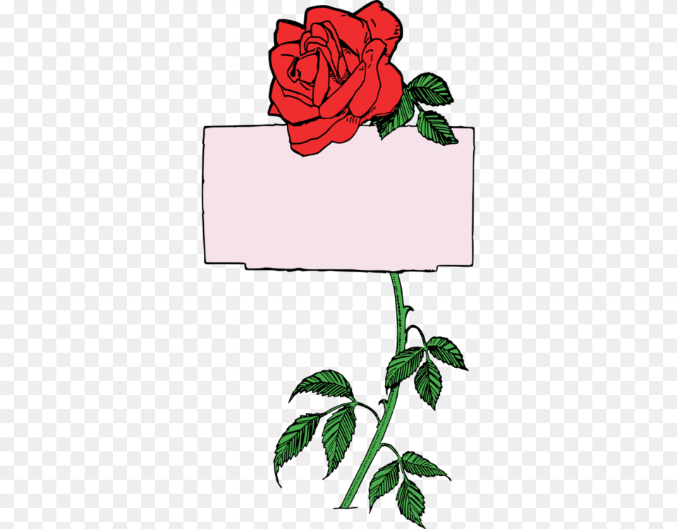 Red Clipart Tumblr, Flower, Plant, Rose, Leaf Free Transparent Png