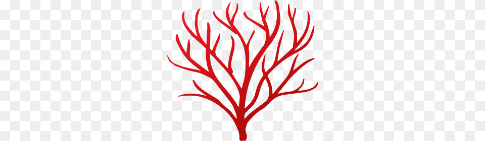 Red Coral Technologies, Leaf, Plant, Pattern, Art Png
