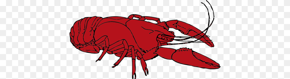 Red Crayfish Vector Clip Art, Food, Seafood, Animal, Invertebrate Free Transparent Png