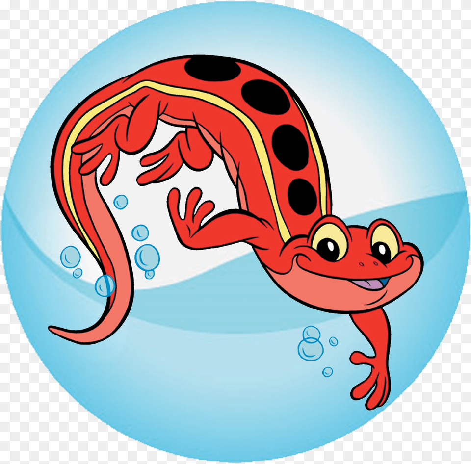 Red Cross Salamander Red Cross Salamander, Animal, Wildlife, Amphibian Free Png Download