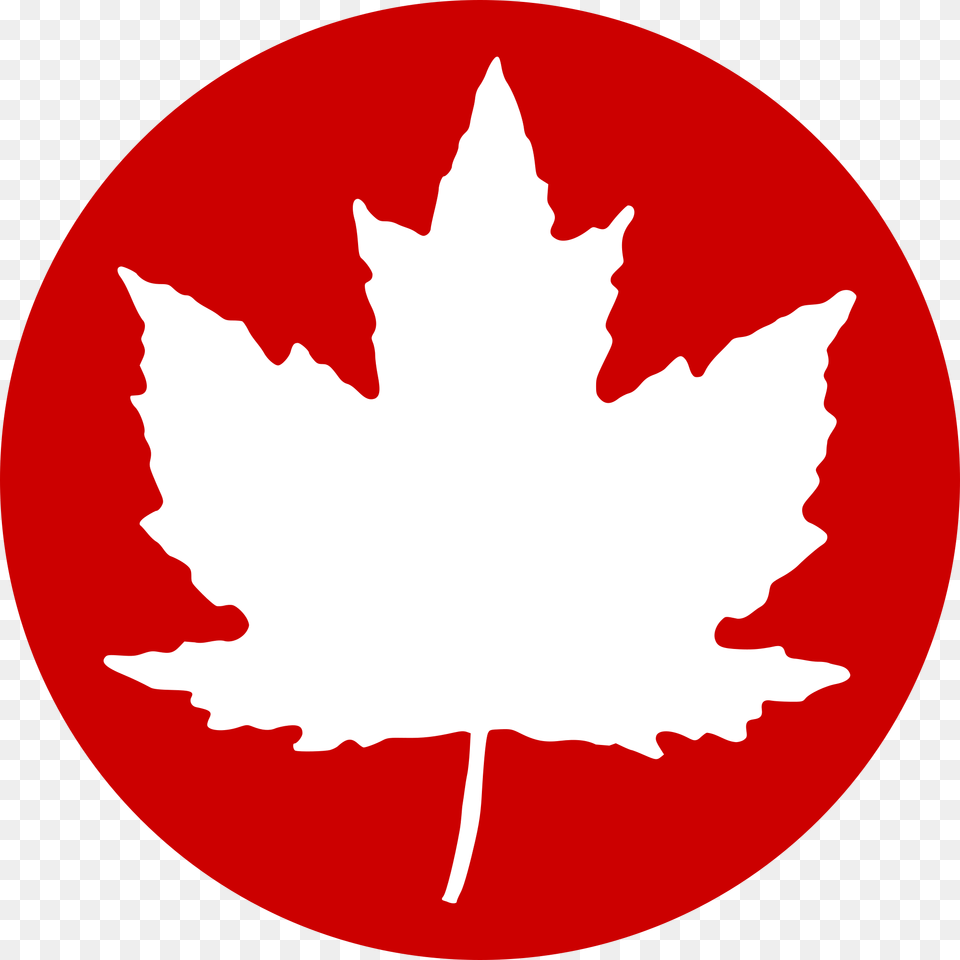 Red Cross Symbol Clipart If Us And Canada Were One Country, Leaf, Maple Leaf, Plant, Disk Free Png