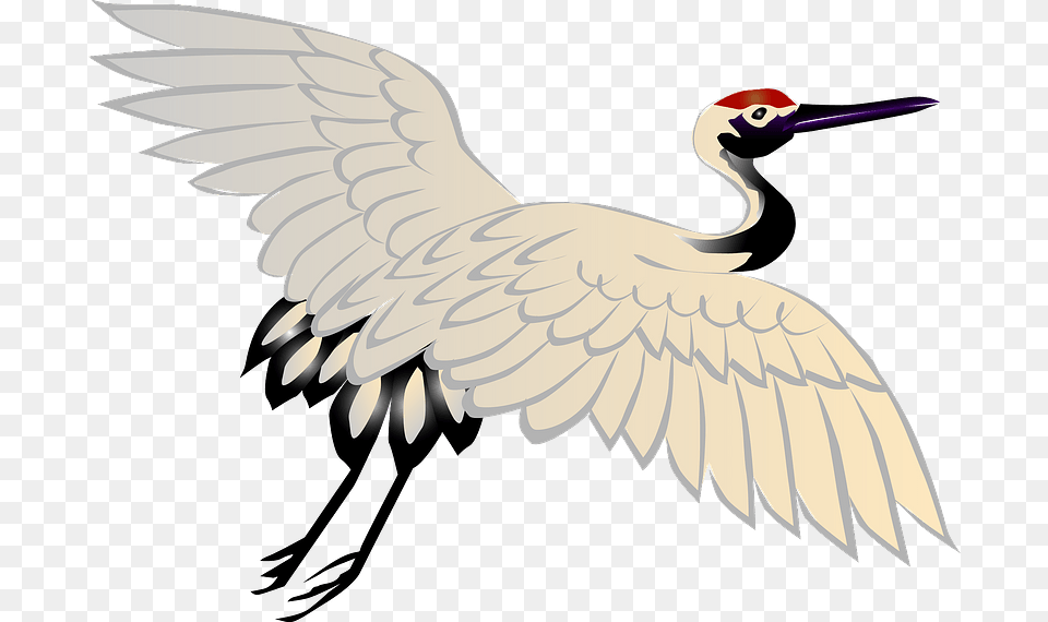 Red Crowned Crane Bird Clipart Sandhill Crane, Animal, Crane Bird, Waterfowl Free Png