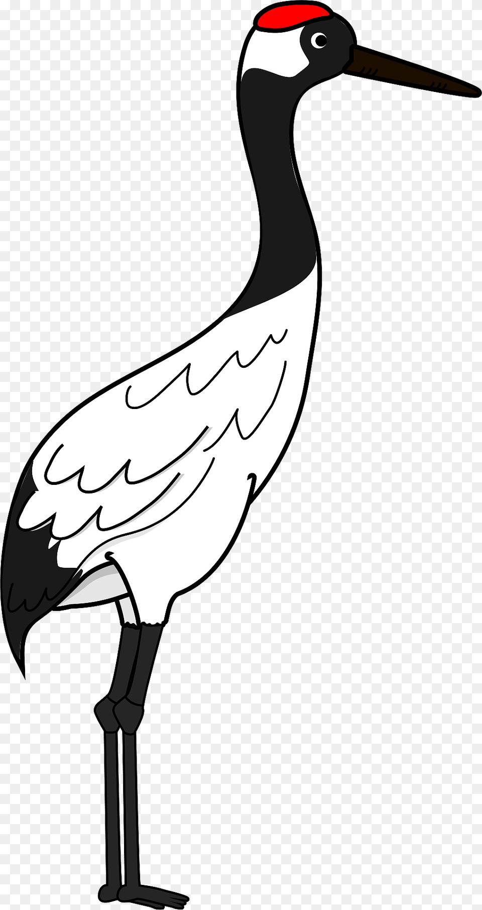 Red Crowned Crane Clipart, Animal, Bird, Crane Bird, Waterfowl Png