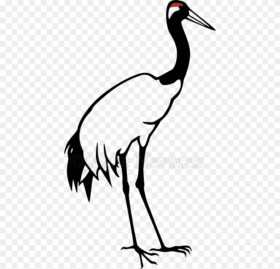 Red Crowned Crane Grey Crowned Crane Bird Clip Art, Nature, Night, Outdoors, Astronomy Free Transparent Png