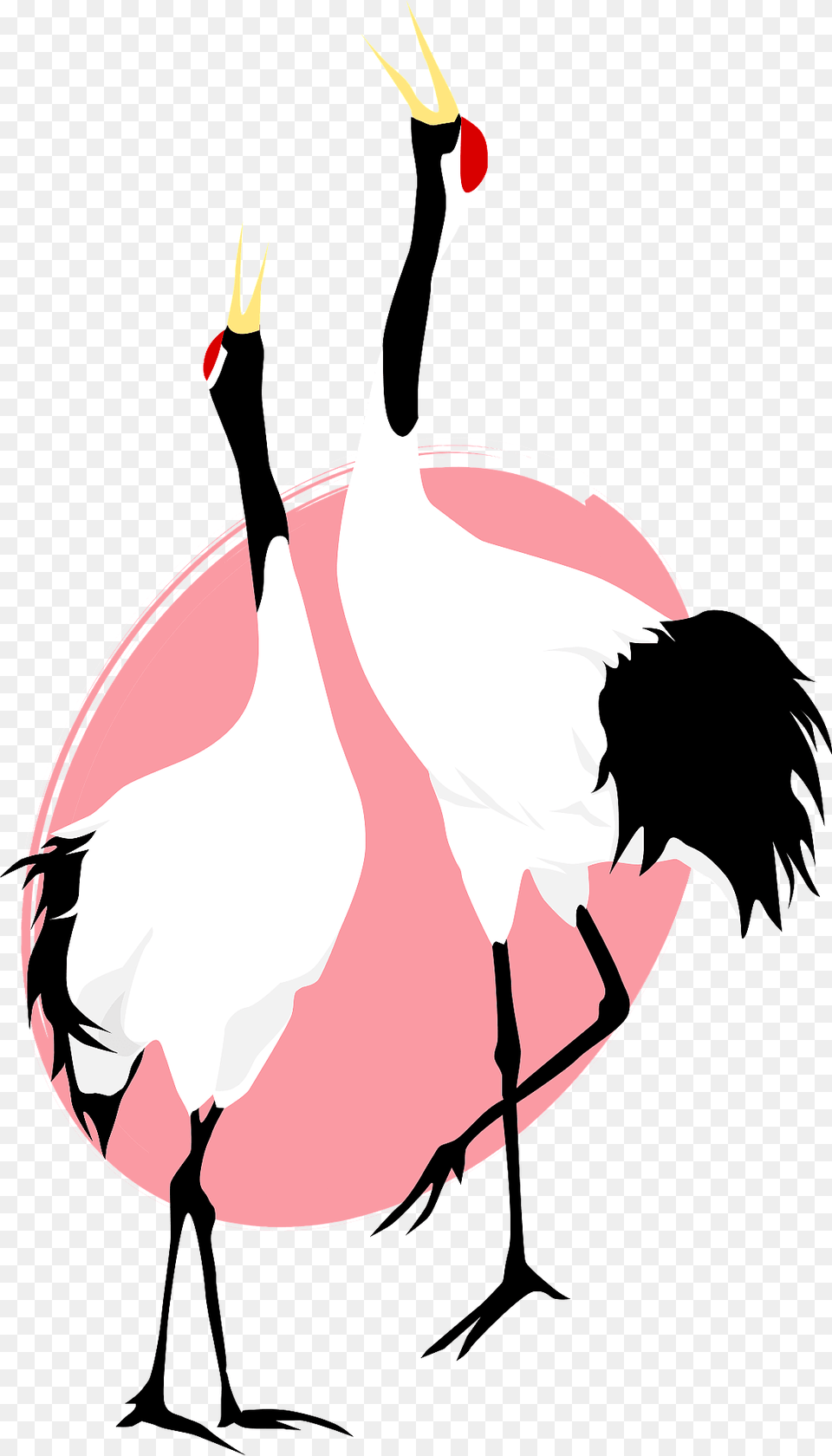 Red Crowned Cranes Clipart, Animal, Bird, Crane Bird, Waterfowl Free Transparent Png