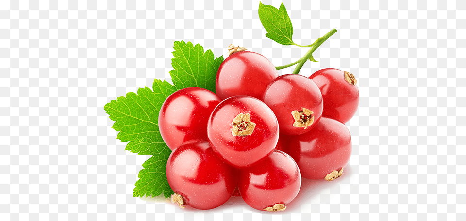 Red Currant, Food, Fruit, Plant, Produce Free Png