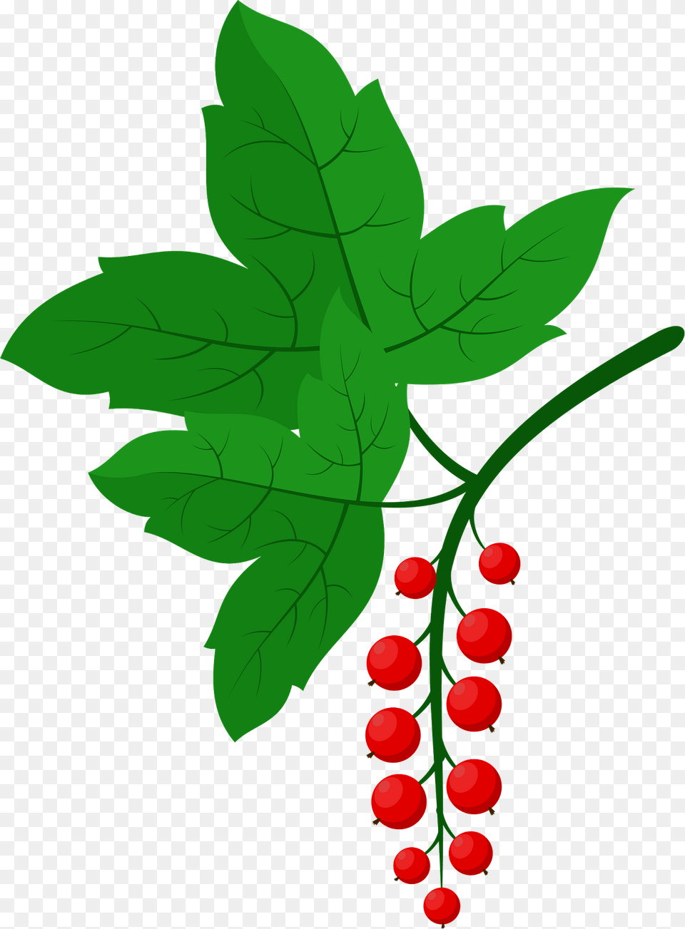 Red Currant Clipart, Food, Fruit, Leaf, Plant Png Image