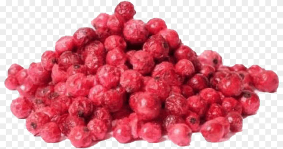 Red Currant Photo Freeze Dried Red Currants, Berry, Food, Fruit, Plant Png Image