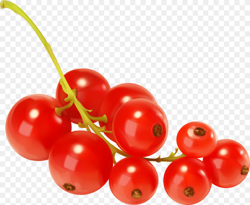 Red Currants Clipart, Food, Fruit, Plant, Produce Png Image
