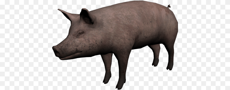 Red Dead Wiki Cerdo, Animal, Boar, Hog, Mammal Png