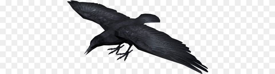 Red Dead Wiki Crow 3d, Animal, Bird, Fish, Sea Life Free Transparent Png