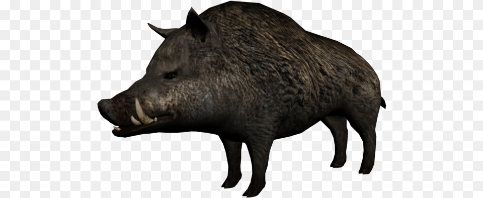 Red Dead Wiki Red Dead Redemption Animals, Animal, Boar, Hog, Mammal Free Png