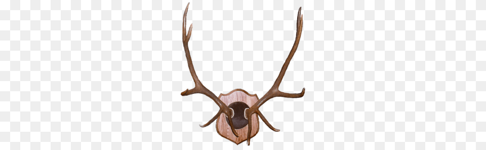 Red Deer Clipart, Antler, Accessories, Jewelry, Necklace Free Png Download