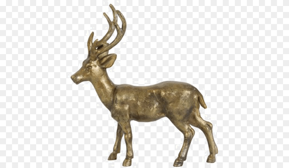Red Deer Table Reindeer Elk Elk, Animal, Mammal, Wildlife, Antelope Png
