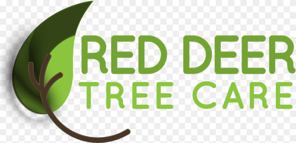 Red Deer Tree Care Keep Calm And Drink More Beer, Bud, Flower, Sprout, Plant Png