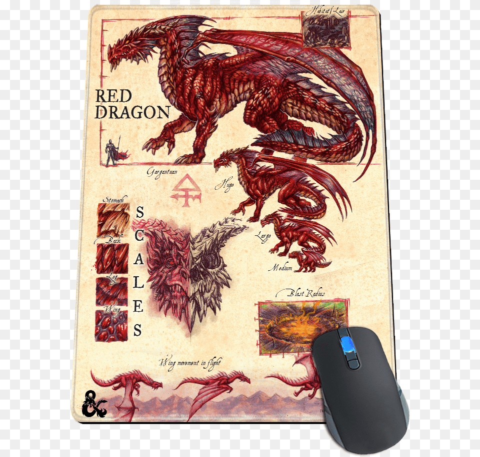 Red Dragon A Practical Guide To Dragons, Computer Hardware, Electronics, Hardware, Mouse Free Png Download