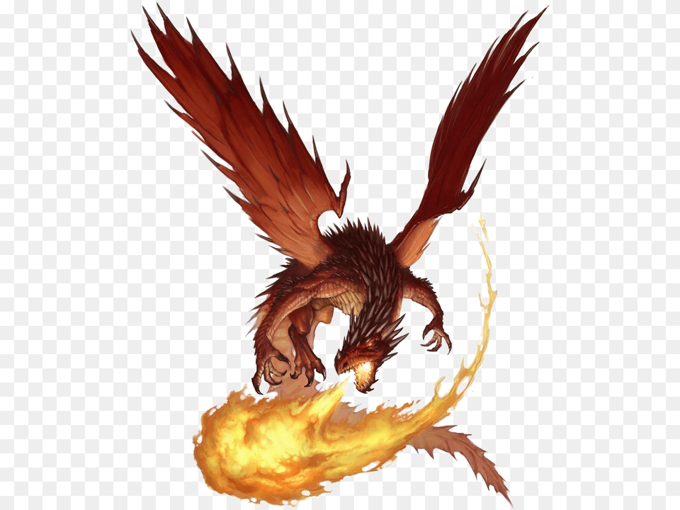 Red Dragon Transparent Young Red Dragon Dnd, Animal, Bird, Chicken, Fowl Png Image