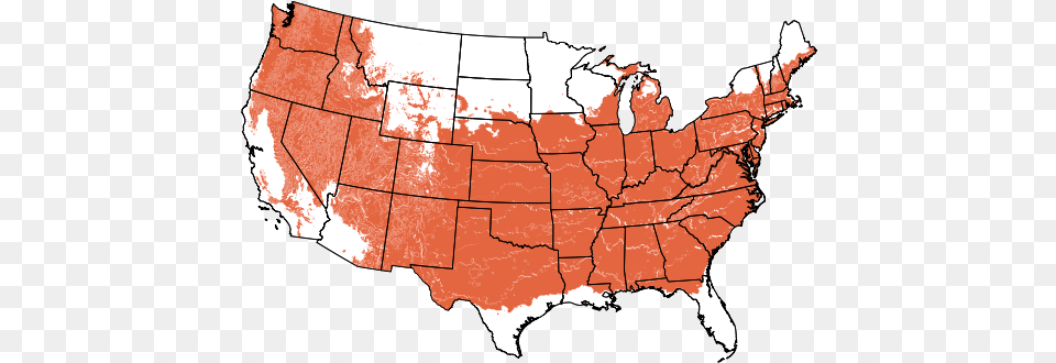 Red Dragon Japanese Maple Zone 8, Chart, Plot, Map, Atlas Png