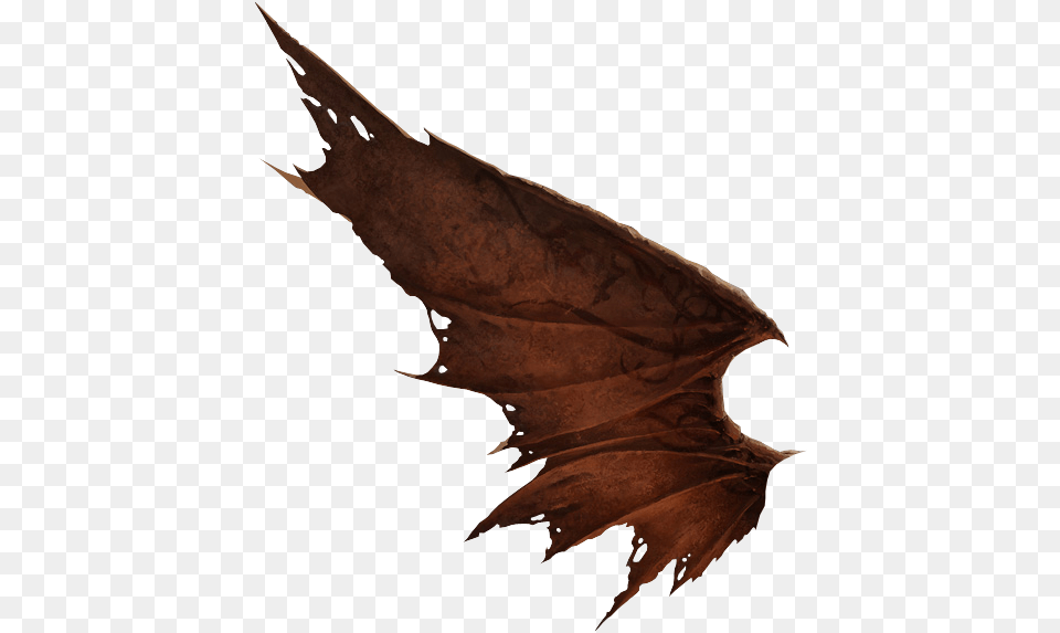 Red Dragon Wings, Leaf, Plant Free Png Download