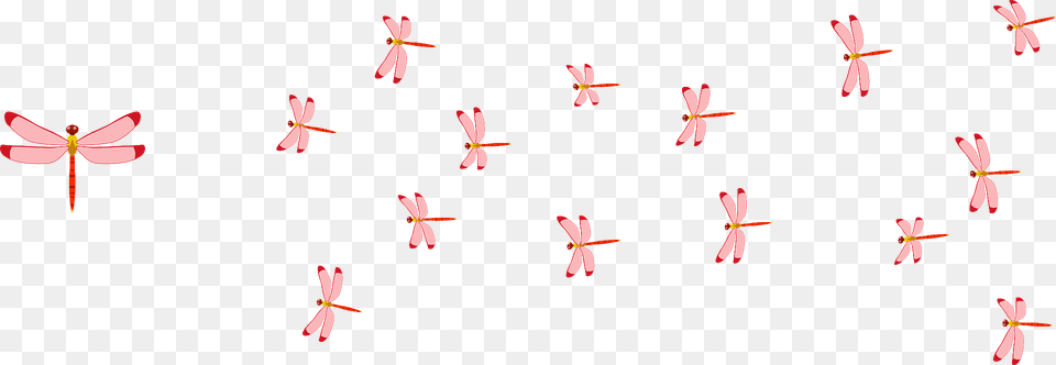 Red Dragonflies Clipart, Animal, Bird, Flower, Flying Free Transparent Png