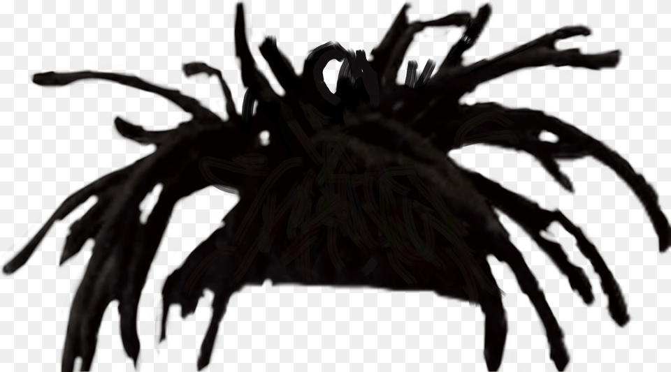 Red Dreads Dreads, Animal, Invertebrate, Spider, Bicycle Free Png
