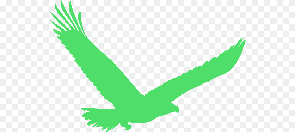 Red Eagle Silhouette, Animal, Bird, Flying, Kite Bird Png