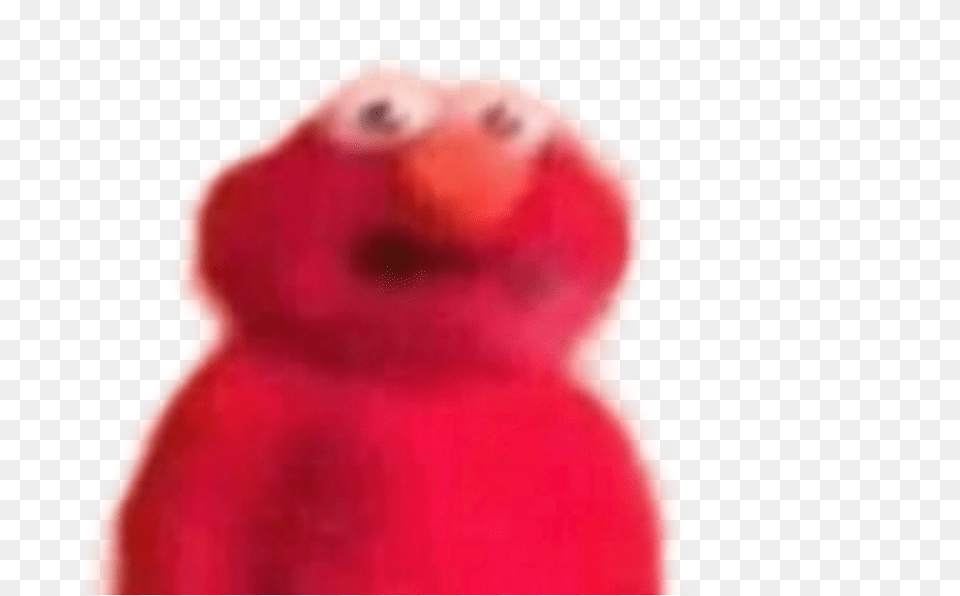 Red Elmo Meme Elmo Meme Sticker, Animal, Baby, Bird, Parakeet Free Png Download