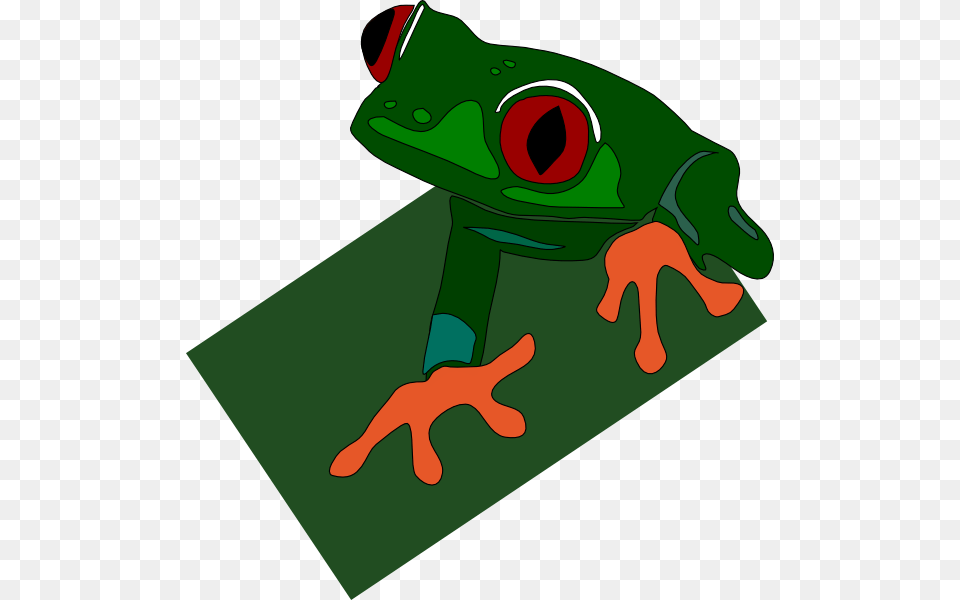 Red Eye Frog Clip Art For Web, Amphibian, Animal, Wildlife, Tree Frog Free Png