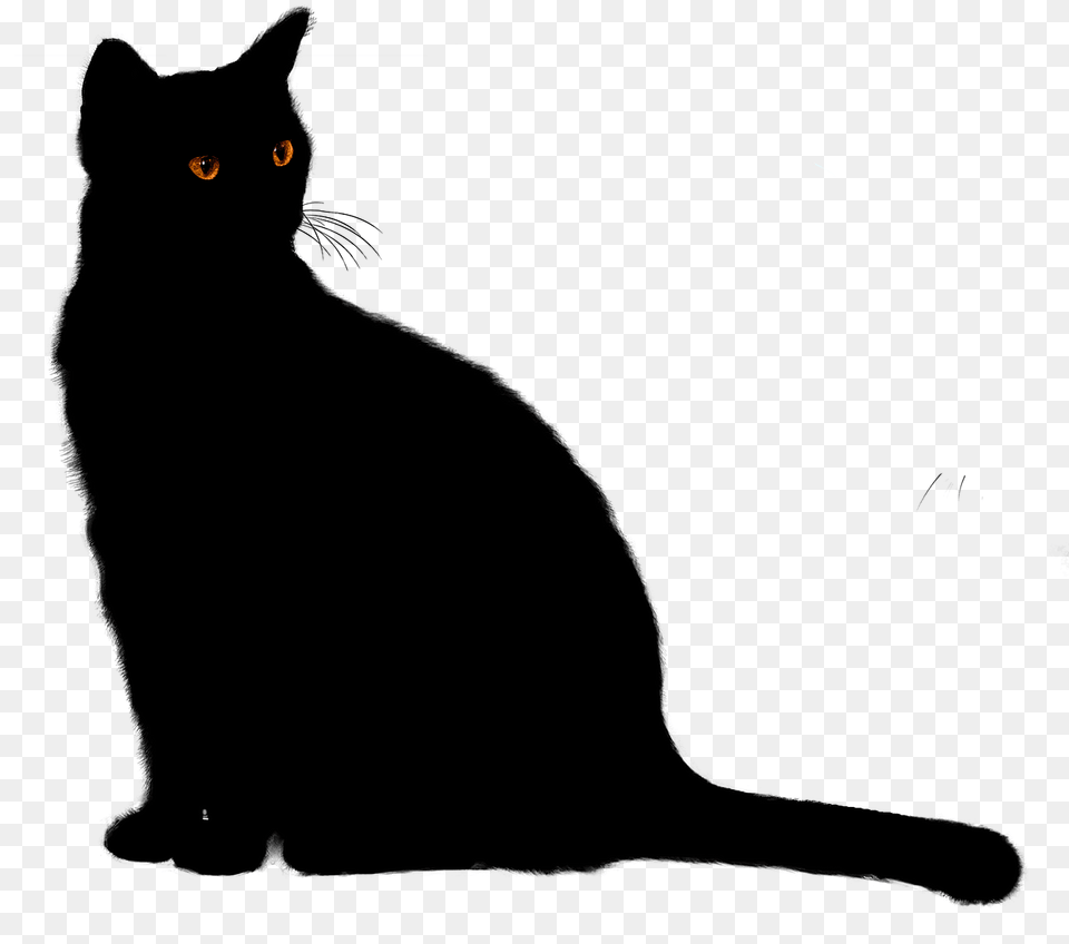 Red Eyed Black Cat Clipart, Animal, Mammal, Pet, Black Cat Png