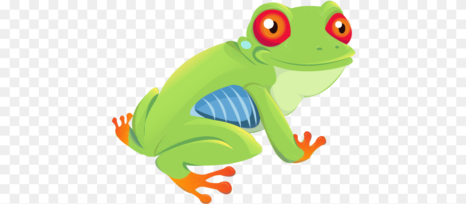 Red Eyed Tree Frog, Amphibian, Animal, Wildlife, Tree Frog Free Transparent Png