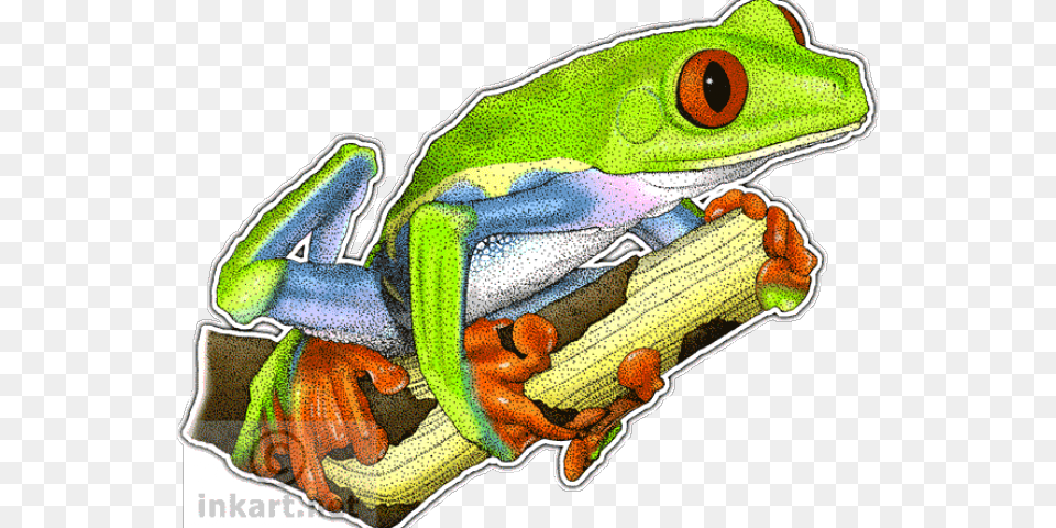 Red Eyed Tree Frog Clipart Animated Frog, Amphibian, Animal, Wildlife, Tree Frog Png Image