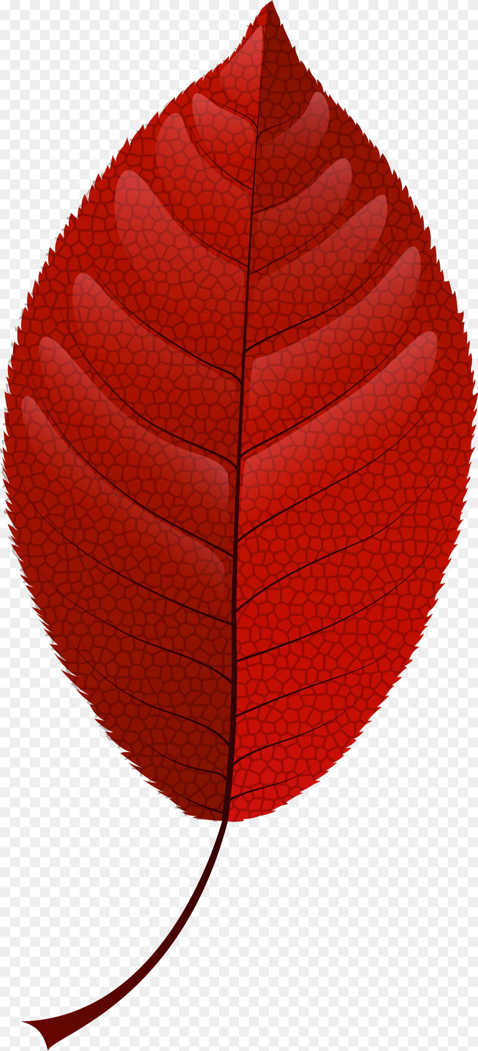 Red Fall Leaf Clip Art Red Fall Leaves Clipart Free Png Download