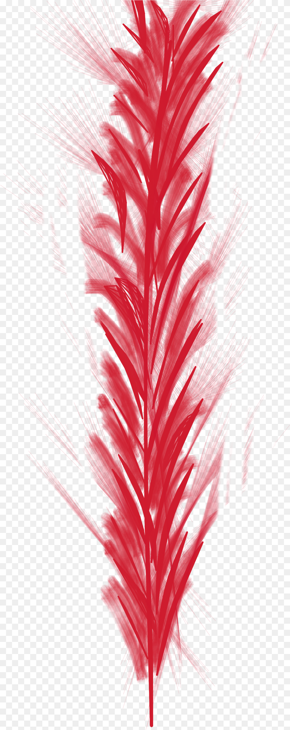 Red Feather Bird Fly Fluff Pillow Feathered, Accessories, Art, Graphics, Adult Free Png Download