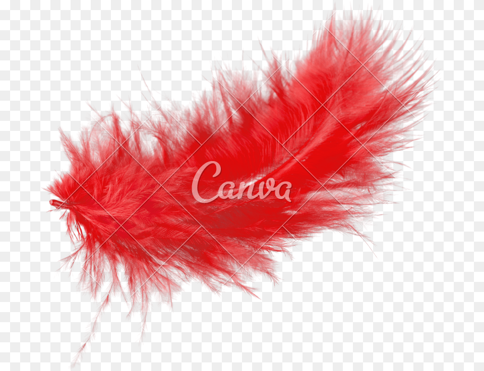 Red Feather Isolated On Punk Fashion, Accessories, Feather Boa Free Transparent Png