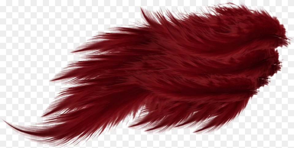 Red Feather Wing, Adult, Female, Person, Woman Free Png