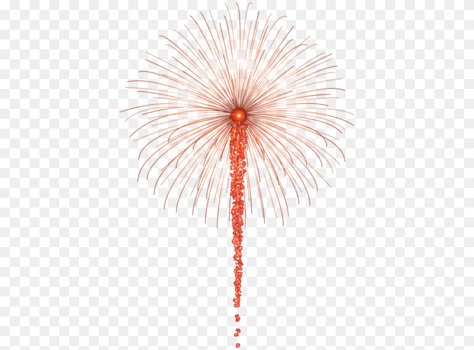 Red Fireworks For Dark S Images Transparent Portable Network Graphics, Plant Free Png Download