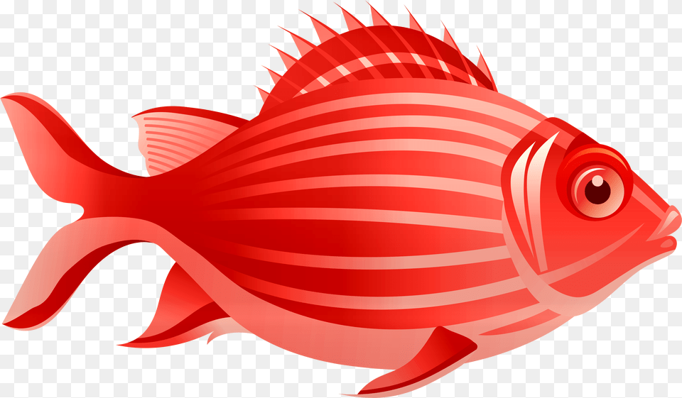 Red Fish Clip Art Fish Clipart, Animal, Sea Life, Shark Png Image