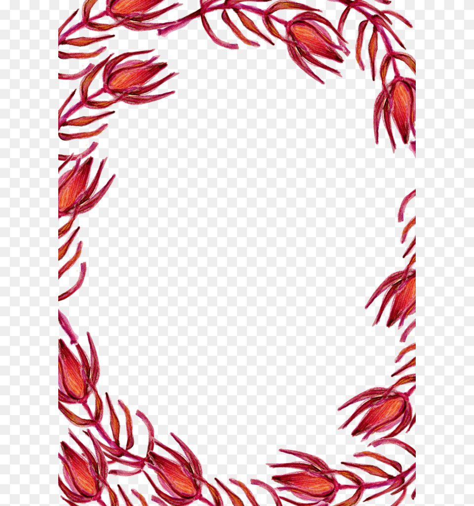 Red Floral Border Download Image, Graphics, Art, Floral Design, Pattern Png