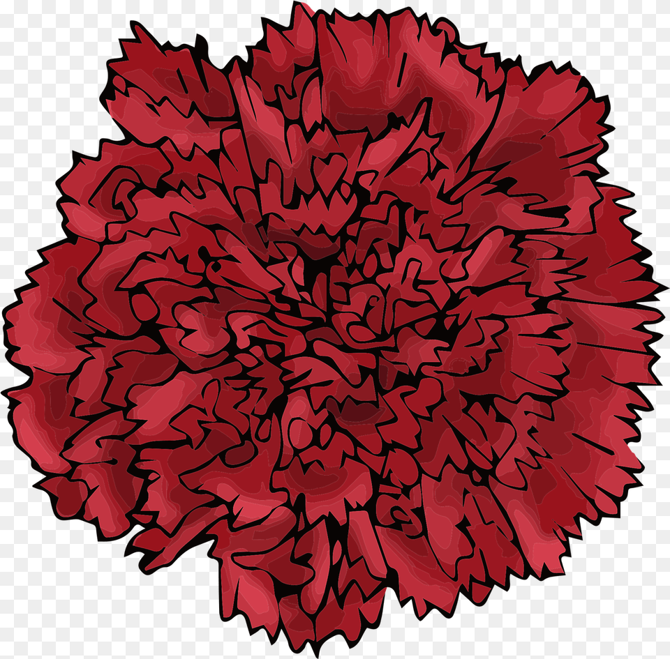 Red Flower Carnation Free Vector Graphic On Pixabay Pink, Plant, Rose Png Image